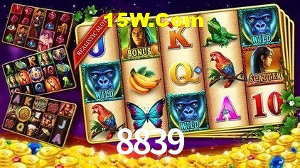 8839 Rio de Janeiro - Slot Strategy