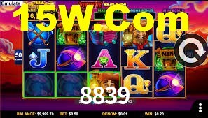 8839 App Interface